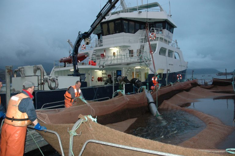 Marine Harvest Scotland securing up to 10,000 t of new biomass