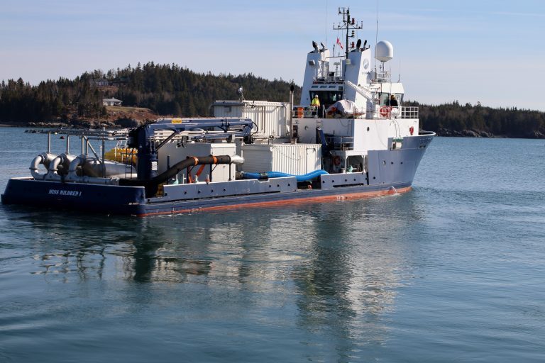 Cooke calls in Thermolicer for summer sea-lice battles