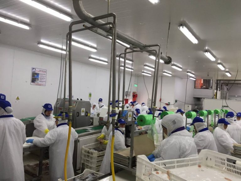 Half dozen rivals compete for Chile’s Salmones Friosur