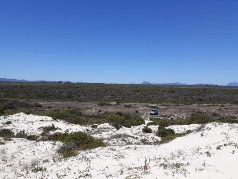 New land-based fish farm for sea trout planned in South Africa