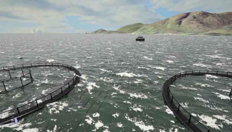 Gael Force to build the new, scaled-up pens