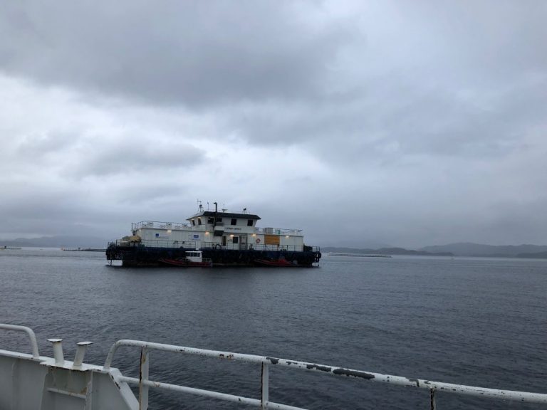 Lower harvesting volumes and salmon prices hit Leroy Q1 earnings