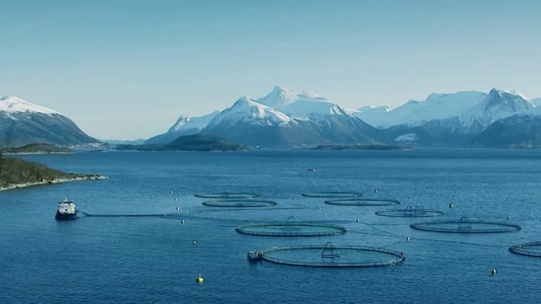 Marine Harvest lands €200m bond deal