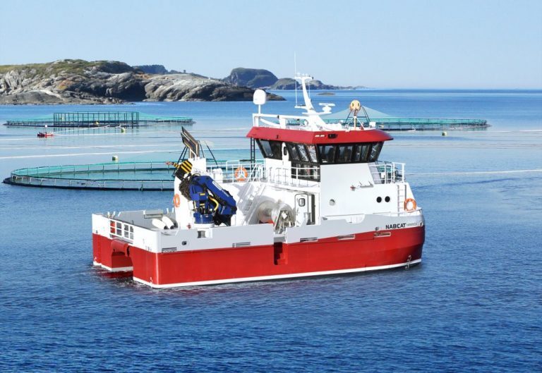 Johnson Marine orders ‘largest vessel yet’ from Moen Marin 