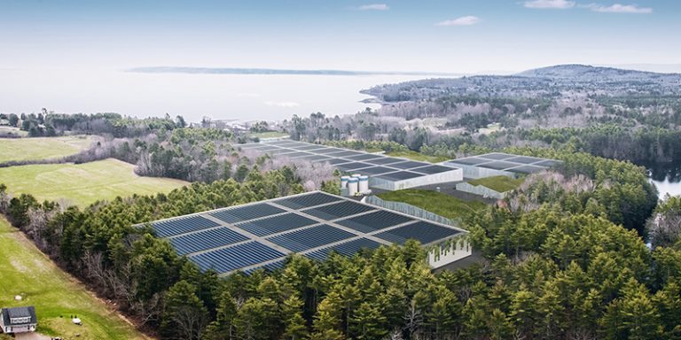 Opponents to Maine Nordic Aquafarms project seek to win political seats