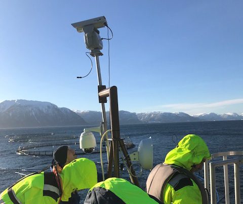 Pioneering fish farms remove nets, use lasers to deter birds