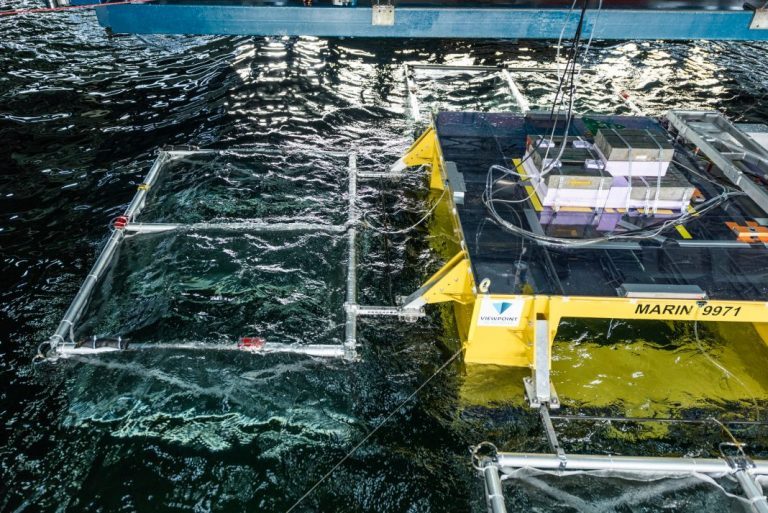 Successful concept paves way for future oil-rig salmon farming