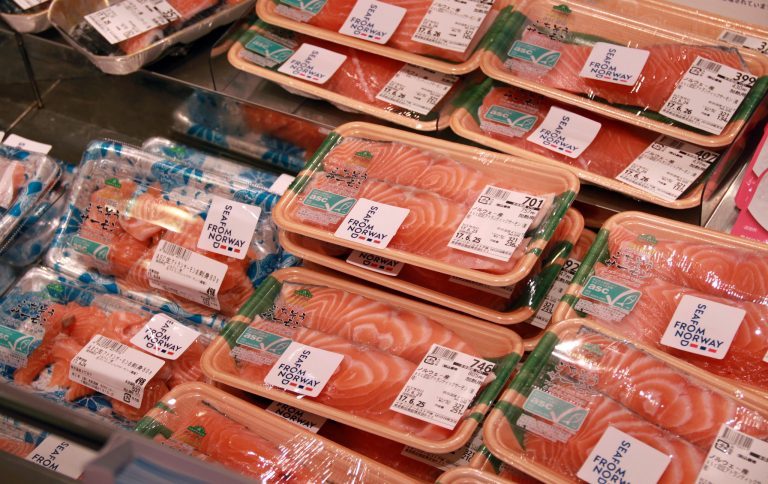 Salmon prices continue to plunge dramatically as “blood bath” rolls on