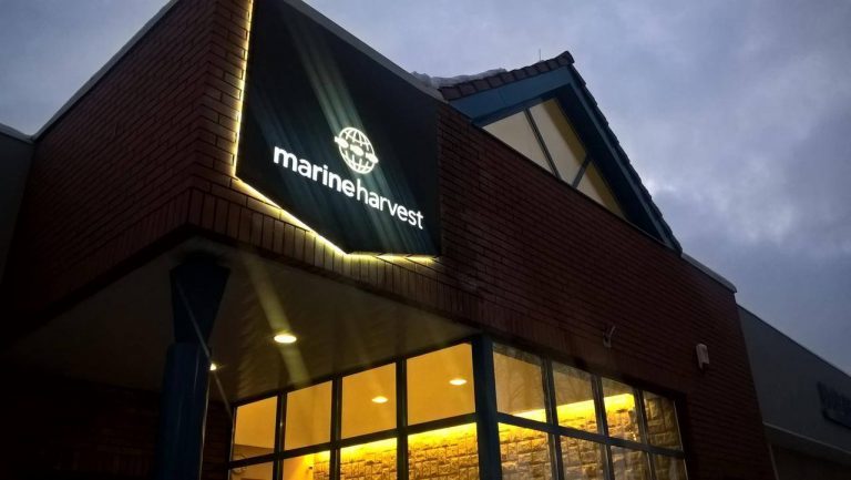 Marine Harvest top management exercise options