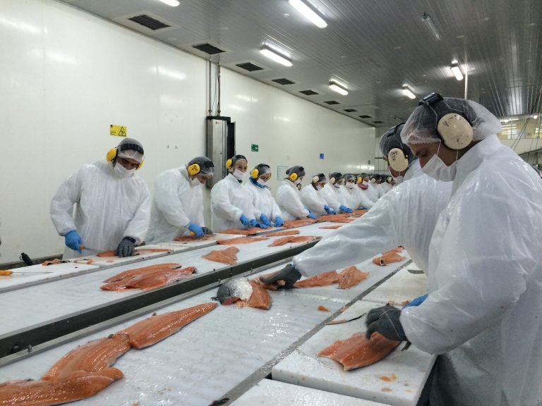 Giant leap for jobs and sustainability thanks to thriving global salmon business