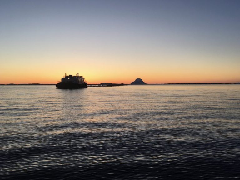 Small scale producer forks out HUGE amount at salmon license auction