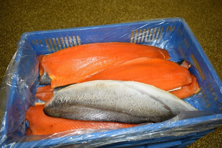 Bandits steal thousands of euros worth of salmon in Chile
