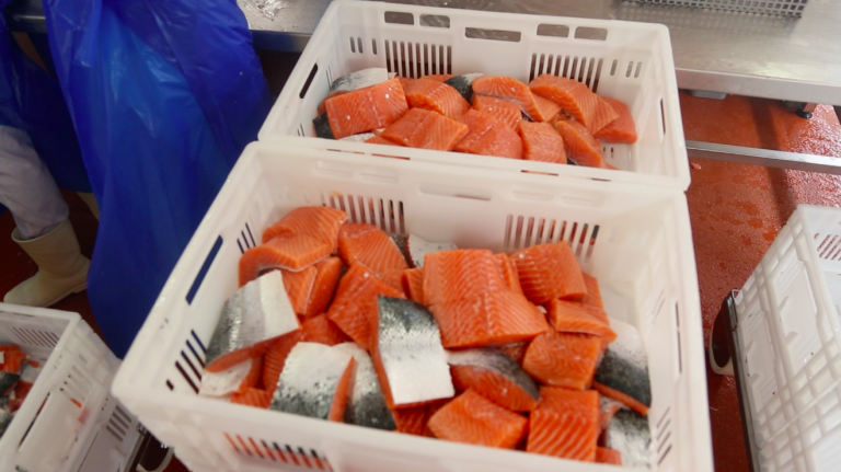 Salmon prices slightly up in quiet market