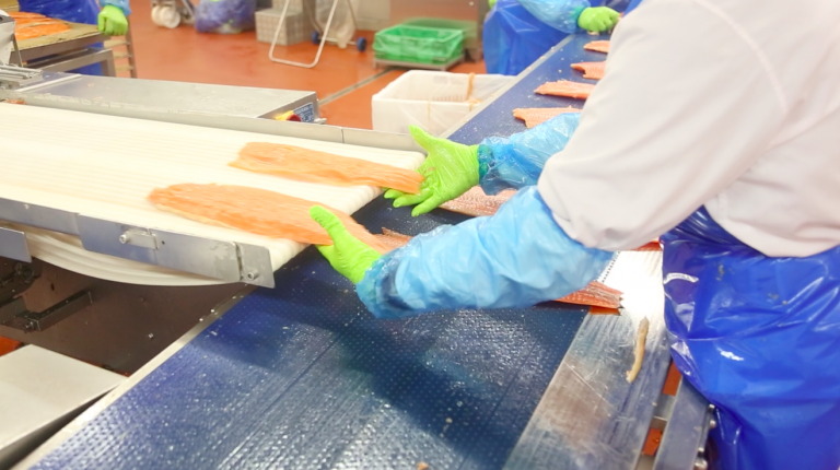 Slight increase in salmon prices