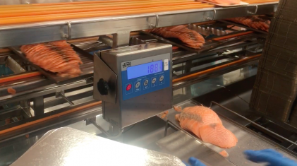 foredling morpol ustka polen marine harvest laksepris pris import eksport