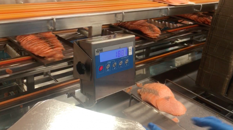 Processing giant Morpol in constant growth: ‘Before, three products were enough. Now we need 15.’