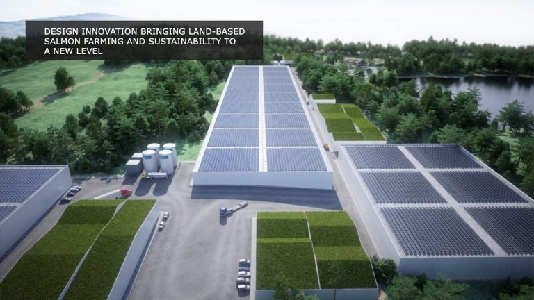 Exclusive video: Nordic Aquafarms’ giant land-based complex