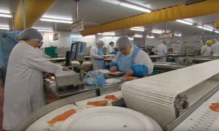 Former Pinneys of Scotland staff offered government funded job support