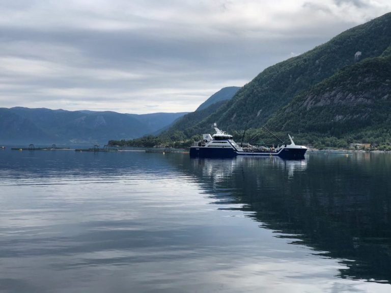 Marine Harvest short of target in Q2