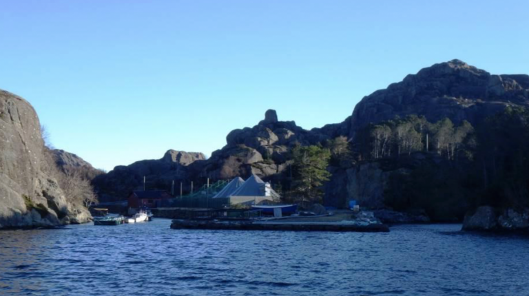Unknown how many fish escaped from smolt production site after tank burst