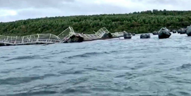 Storm demolishes another salmon farm in Chile