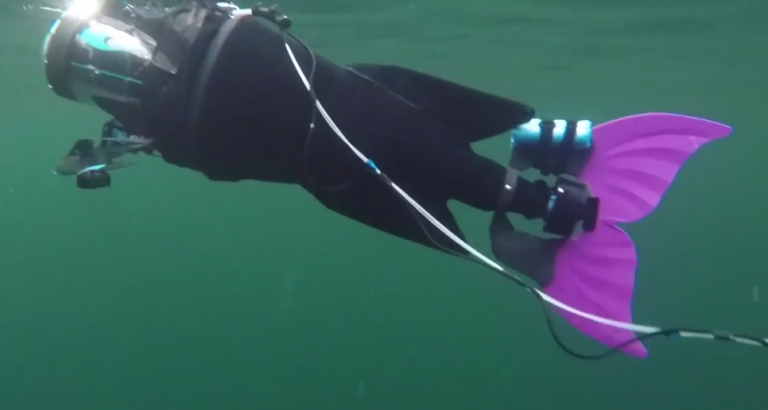 Robot fish that swims with salmon improves sensor precision
