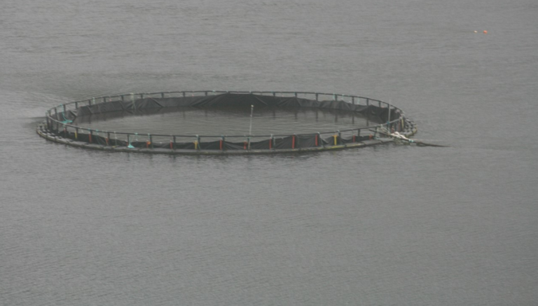 Decision to allow Irish salmon farm to extract freshwater from lake faces legal challenge
