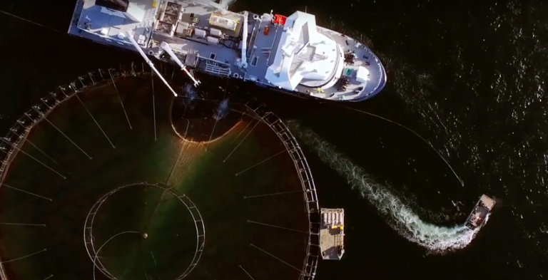 Inflated costs eat away at Huon Aquaculture’s profits