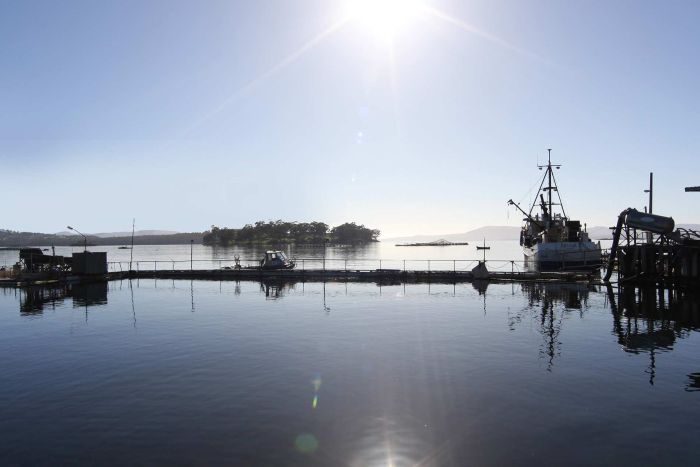 Tasmania woodchip mill proposal deemed potential ‘health risk’ by Tassal withdrawn