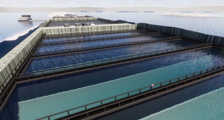 “No one has – as yet – managed to document land-based, industrial salmon production. It’s just not that simple”