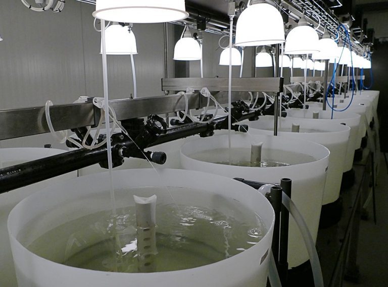 BioMar expands research facility with new marine fish larval trial unit