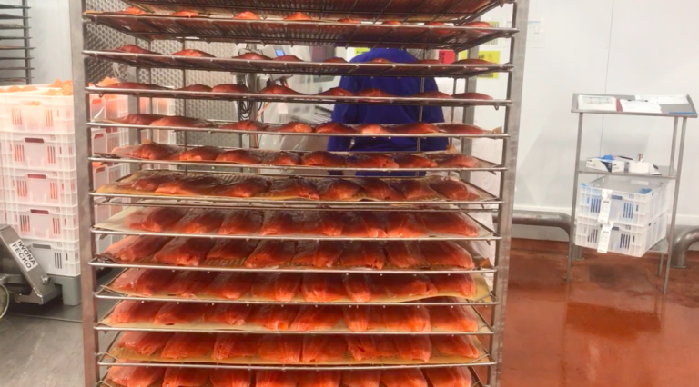 Heavy harvesting volumes, but salmon spot prices are stable