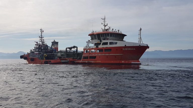 Salvage firm specialist asks for speedy removal of rotten salmon cargo