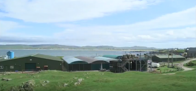Sea lice control “breakthrough” for Scottish salmon farmers