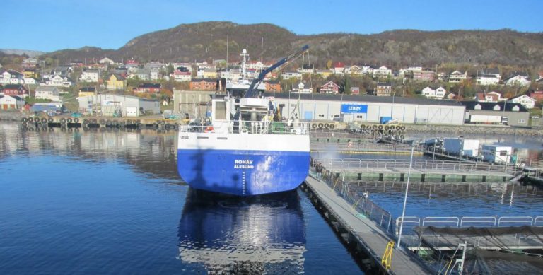 “The highest second quarter operating profit in the Lerøy Seafood Group’s history”