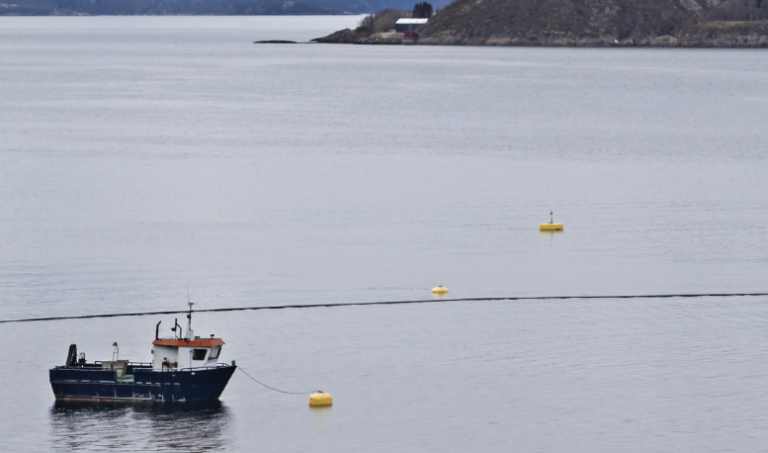 Arctic Sea Farm to dramatically increa­se salmon producti­on in Iceland
