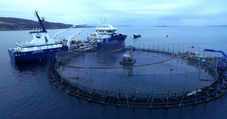 Proposed 1,400 percent rate hike on Tasmanian salmon farming labelled “cash grab”