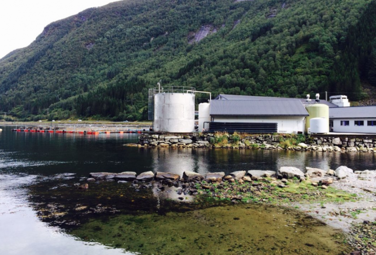 Uncertain biomass leads to price hike