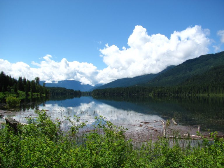 Land-based rainbow trout farm proposed in British Columbia