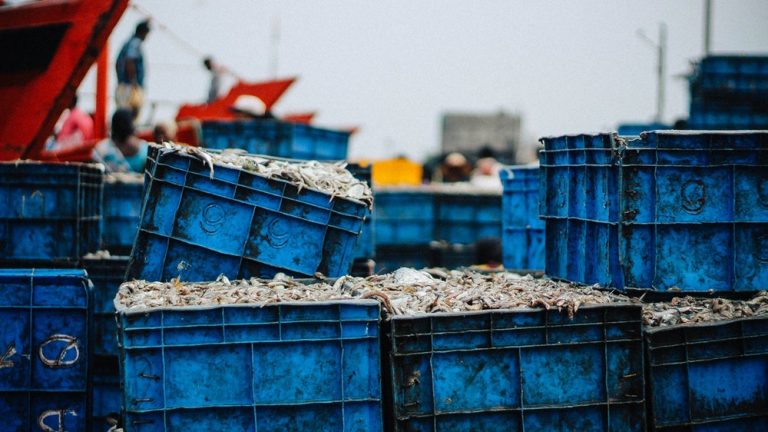 Tasmanian Salmon farmers, Tassal, release name of shrimp business they want to purchase