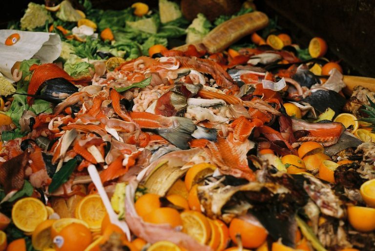 Seachill and Young’s Seafood sign nationwide pledge to tackle food waste