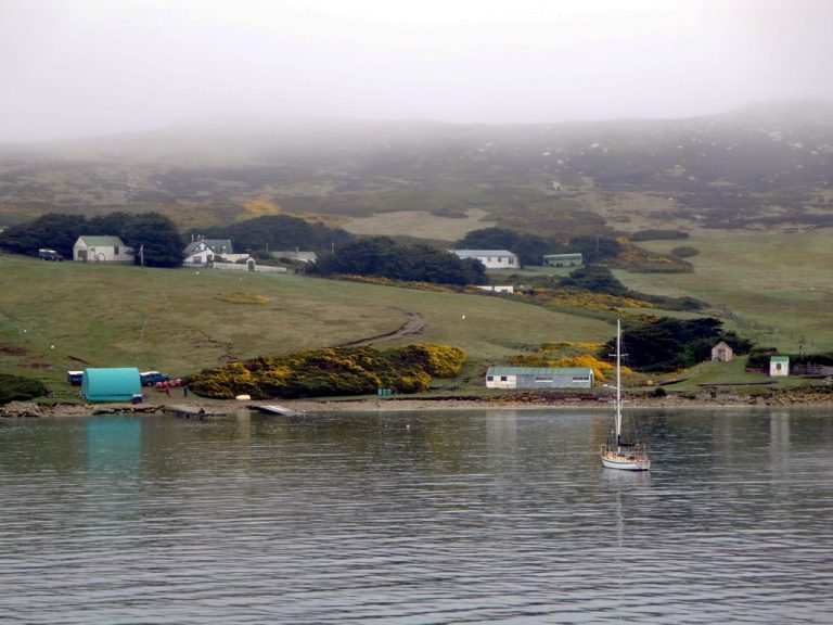 Falkland Islands to look into developing salmon farms