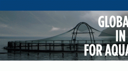 Banner980x300-iLaks[4]