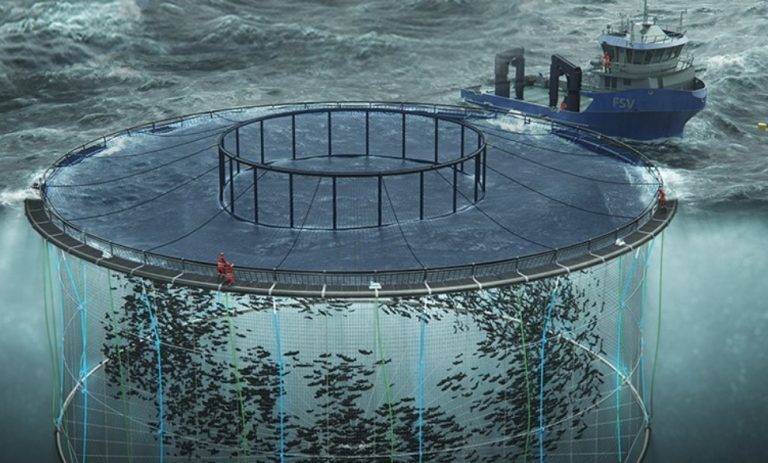 NL gov invests $30M in mega Placentia Bay salmon farm