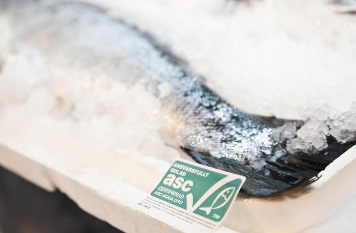 ASC salmon standard recognised by Global Sustainable Seafood Initiative
