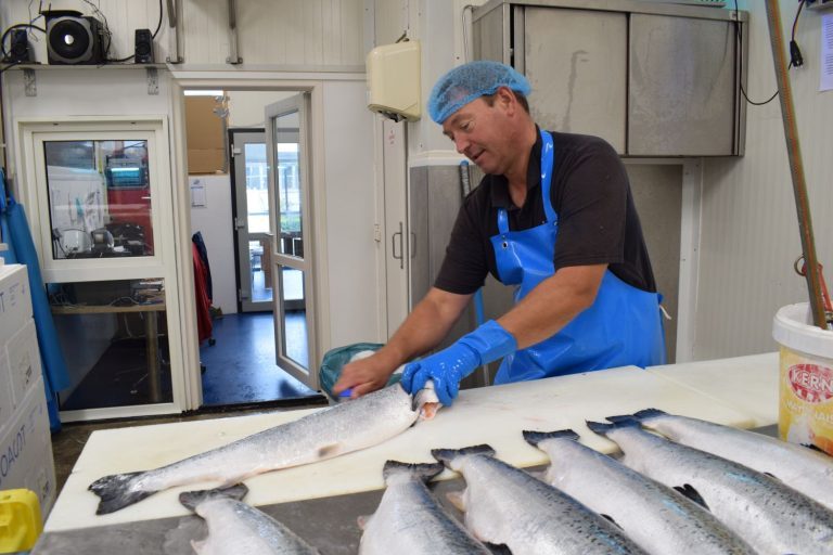 Dutch chef starts salmon smokehouse