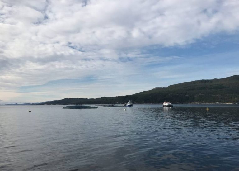 Marine Harvest 430,000 tonnes production target is  “too ambitious” say Sparebank1 Markets