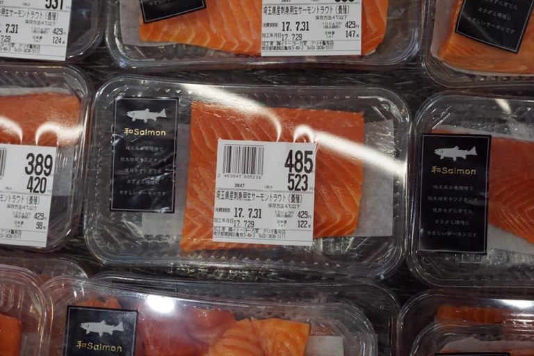 Japan’s biggest seafood companies eyeing up inland salmon farms