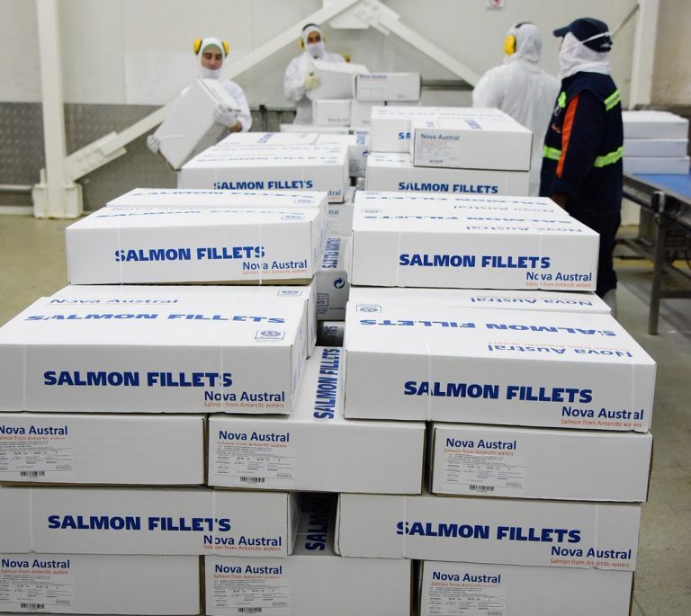 Chilean trucker strike blocking salmon farm ends