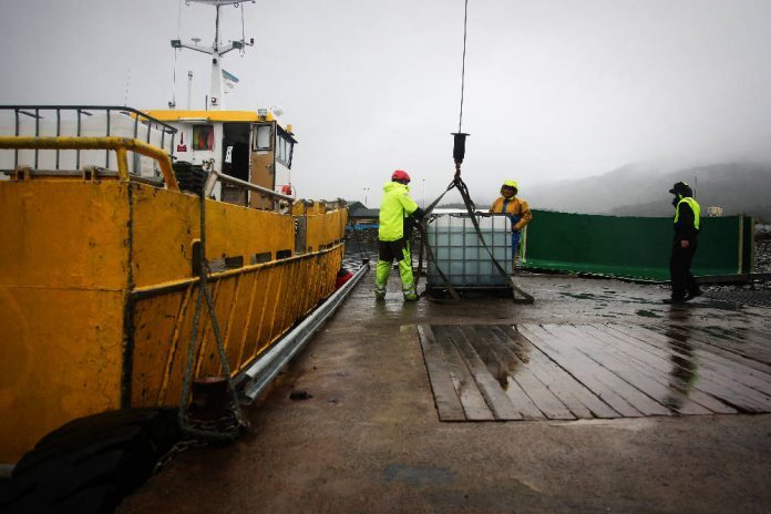 LAST CLEANER FISH - Langøylaks is suitable for lice at Vest Aqua's plant in Årskog. PHOTO- Ole Alexander Saue.
